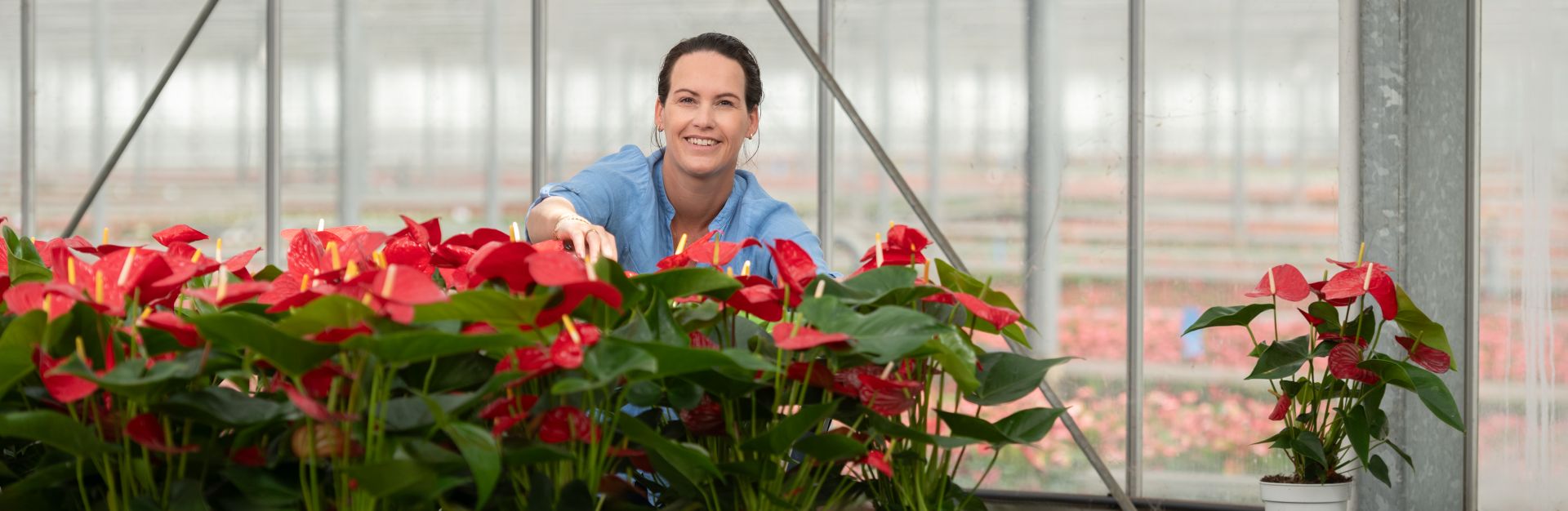 Vrouwelijke bloemkweker tussen planten